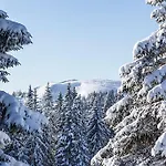 Apartmán Lotti + Hochschwarzwald Card *