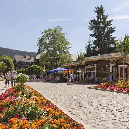 Lotti + Hochschwarzwald Card Apartamento